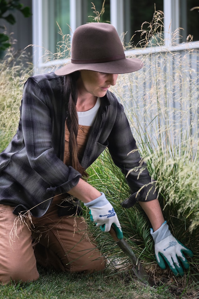 Basic Weed Management: Essential Strategies for Effective Control