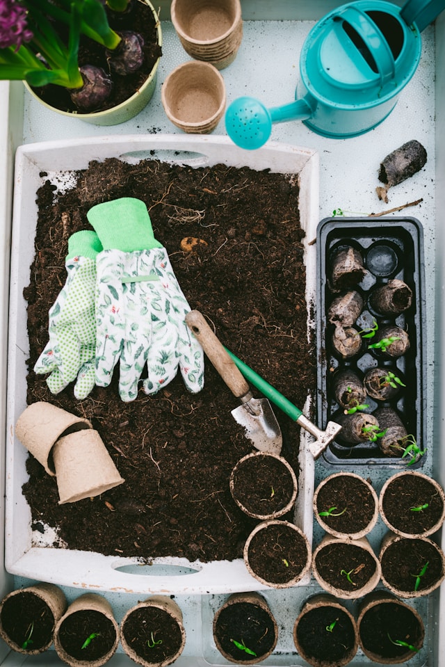 Zero-Waste Gardening: Sustainable Practices for a Greener Future