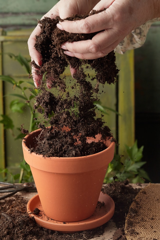 Natural Soil Improvement: Effective Strategies for Sustainable Agriculture