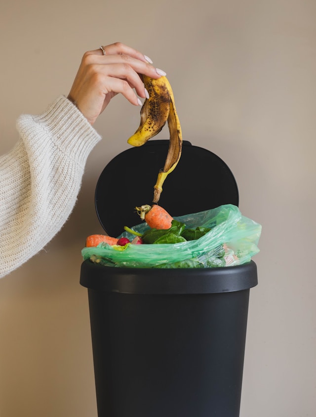 Home Composting Guide: Essential Tips for Successful Organic Waste Recycling