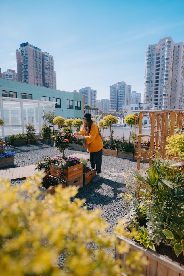 Urban Rooftop Gardening: Maximizing Green Space in City Living