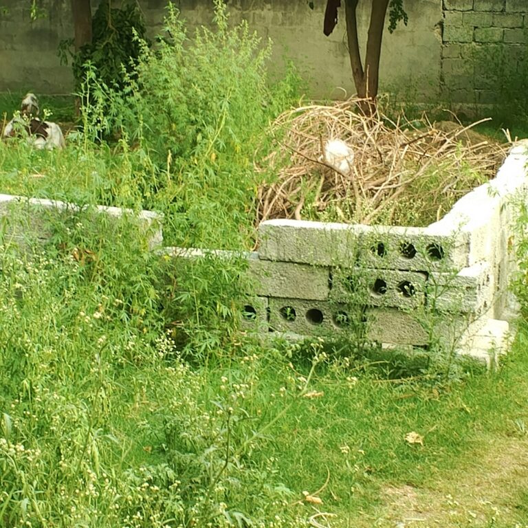 A bird nest sitting on top of a cement block