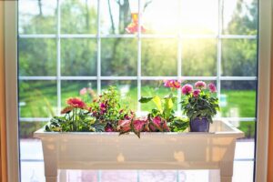 flowers, flower box, garden, spring, plantings, window, nature, green, blossoms, plants, gardening, blooms, summer, botany, blooming, sunny, botanical