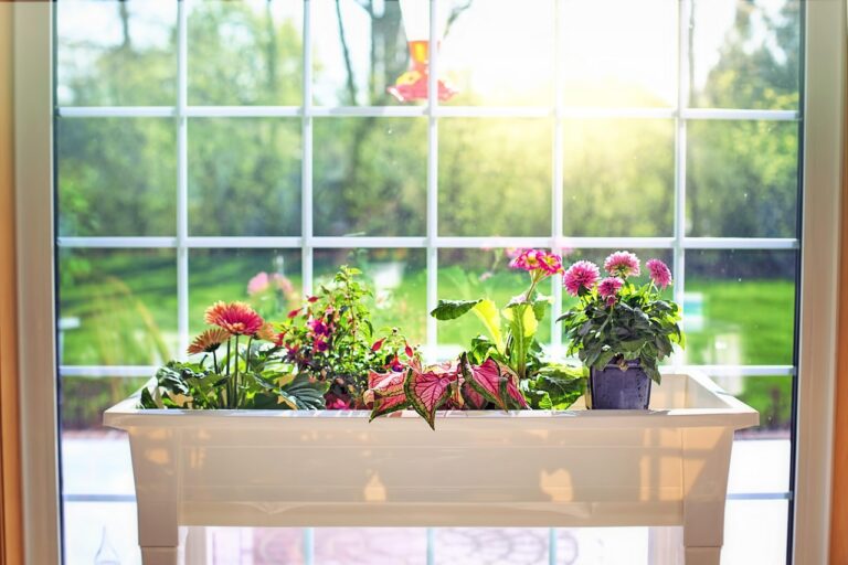 flowers, flower box, garden, spring, plantings, window, nature, green, blossoms, plants, gardening, blooms, summer, botany, blooming, sunny, botanical