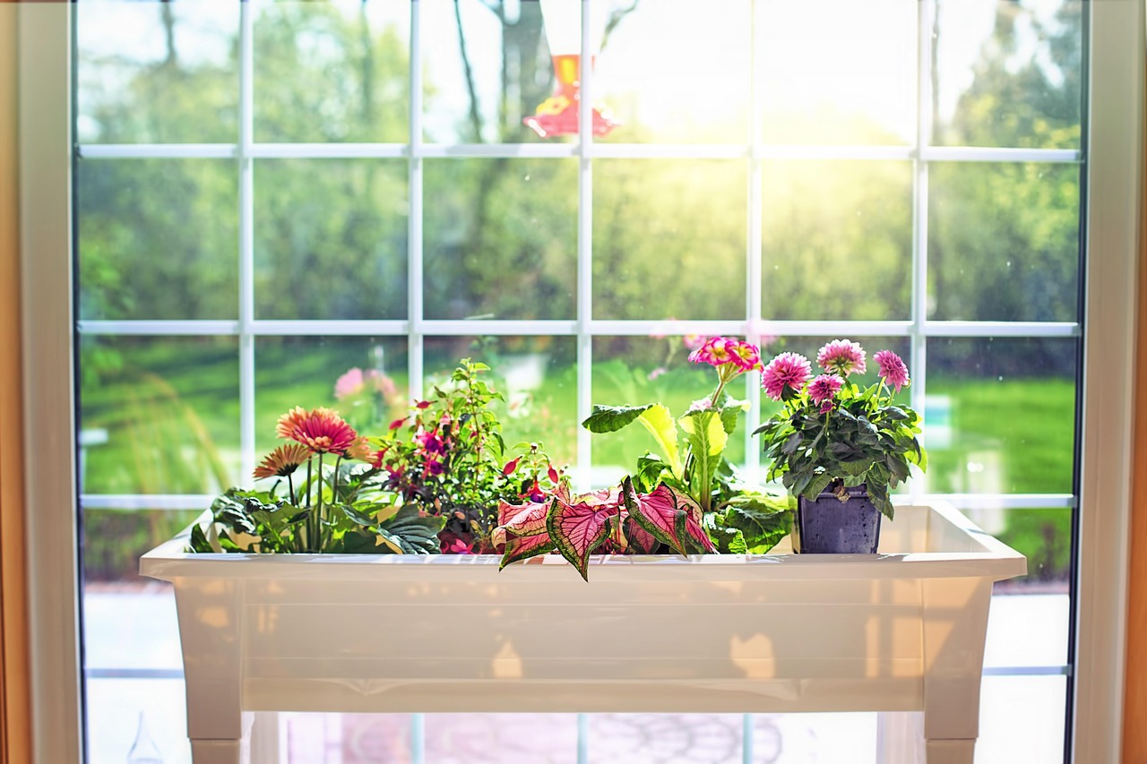 flowers, flower box, garden, spring, plantings, window, nature, green, blossoms, plants, gardening, blooms, summer, botany, blooming, sunny, botanical