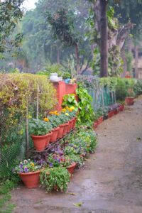 A row of potted plants sitting next to a fence